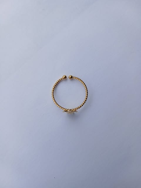 Bague Tortue